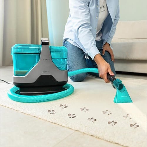nettoyage de traces de pattes sur tapis avec la shampouineuse Cecotec Conga 6000 Carpet&Spot Clean XXL Advance