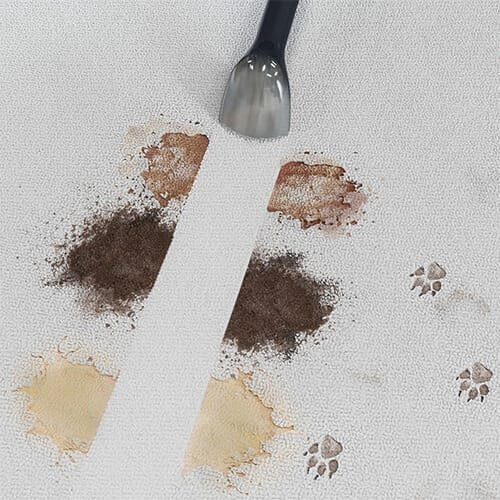 démonstration du nettoyage de taches tenaces et empreintes d’animaux avec la shampouineuse Hoover HS5