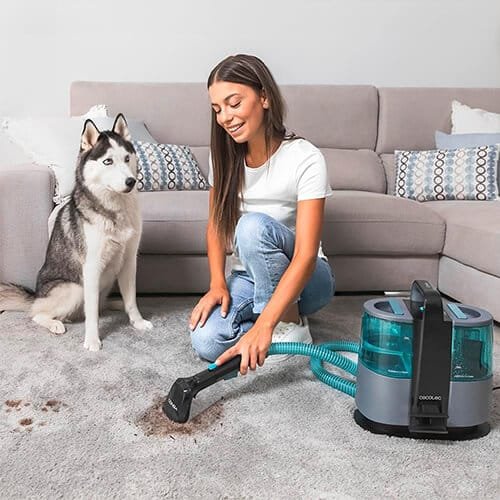 nettoyage de saletés sur tapis causées par un chien avec la shampouineuse Cecotec Conga 4000 Carpet&Spot Clean XL Advance
