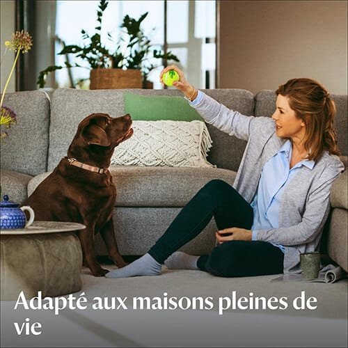 femme jouant avec un chien dans un salon, idéal pour les maisons animées selon Bissell