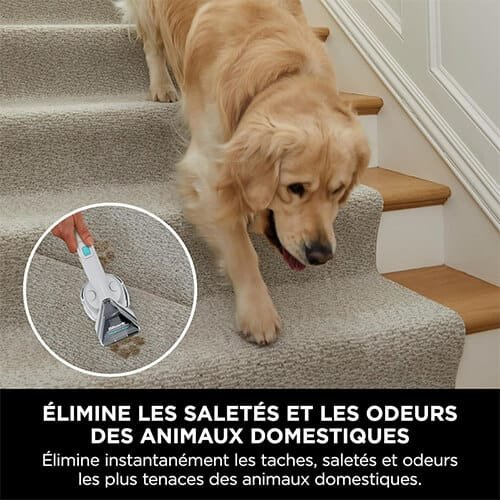 Shampouineuse Shark PX200EUT nettoyant les taches laissées par un chien sur des escaliers en moquette