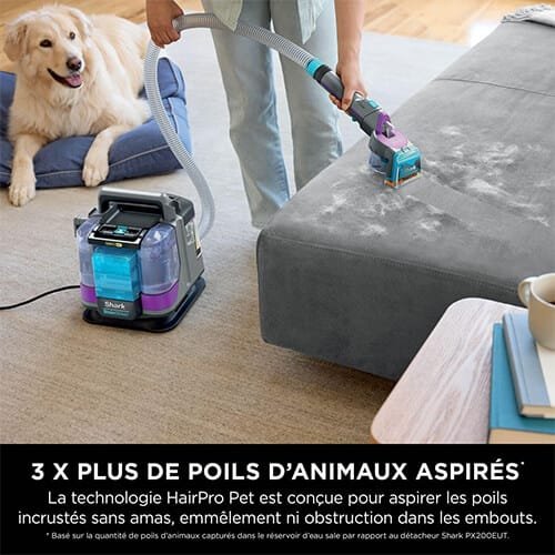 Shampouineuse Shark PX250EUT en train d’aspirer efficacement les poils d’animaux incrustés sur un canapé avec la technologie HairPro Pet