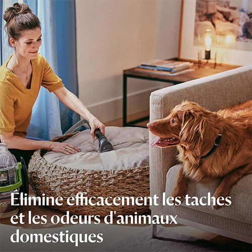 utilisation d’une shampouineuse Bissell pour éliminer les taches et odeurs d’animaux sur coussin pour chien