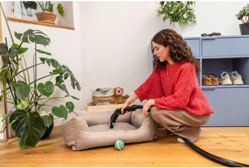 Nettoyage d’un panier pour chien avec une shampouineuse, idéal pour éliminer les poils et les taches d’animaux